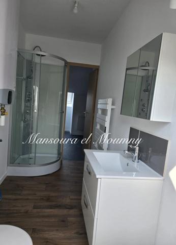 Maison à vendre 8 pièces JOUE LES TOURS (37)