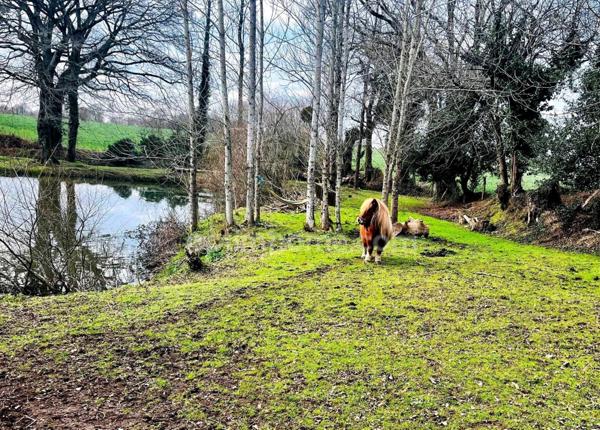 Maison à vendre 5 pièces ELVEN 56250 Morbihan Bretagne Sud