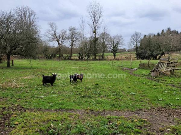 Maison à vendre 5 pièces ELVEN 56250 Morbihan Bretagne Sud