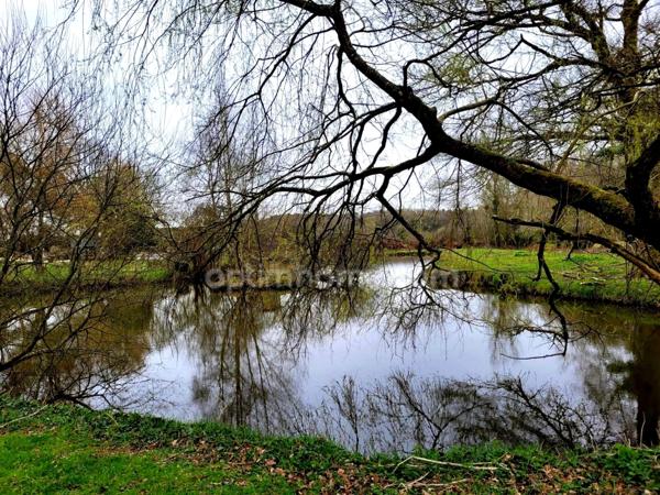 Maison à vendre 5 pièces ELVEN 56250 Morbihan Bretagne Sud