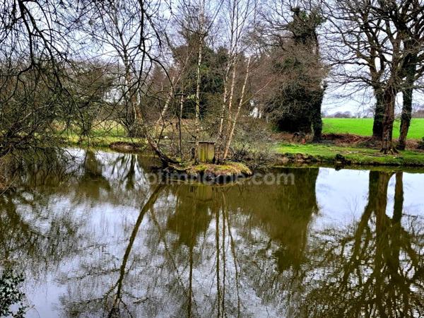 Maison à vendre 5 pièces ELVEN 56250 Morbihan Bretagne Sud