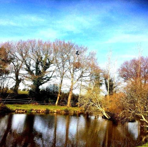 Maison à vendre 5 pièces ELVEN 56250 Morbihan Bretagne Sud