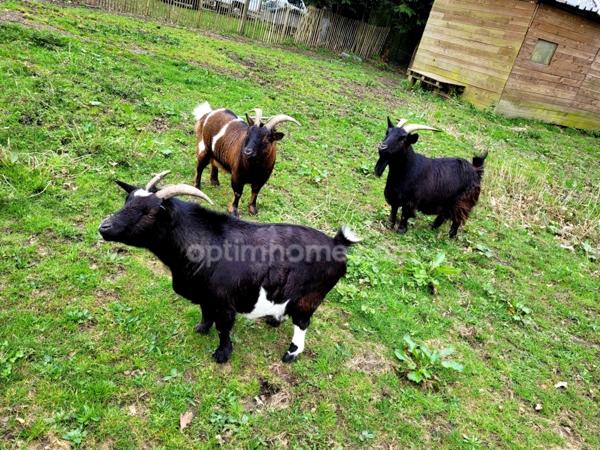 Maison à vendre 5 pièces ELVEN 56250 Morbihan Bretagne Sud