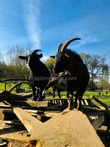 Maison à vendre 5 pièces ELVEN 56250 Morbihan Bretagne Sud