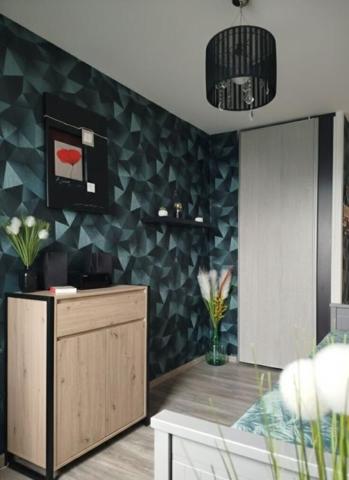 Appartement Joué Lès Tours 2 chambres - 75 m2