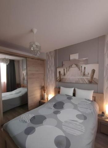 Appartement Joué Lès Tours 2 chambres - 75 m2