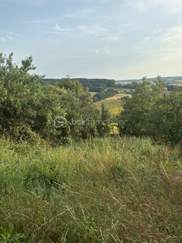 Terrain de 1 013 m²