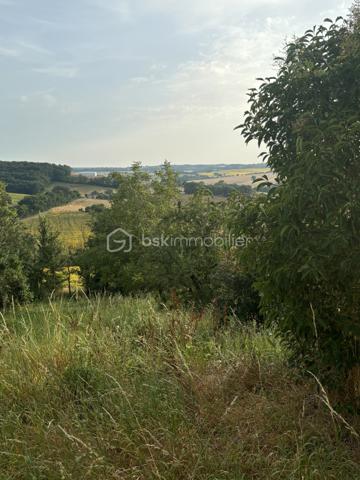 Terrain de 1 013 m²