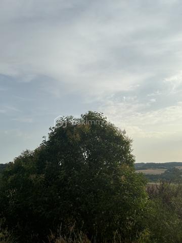 Terrain de 1 013 m²