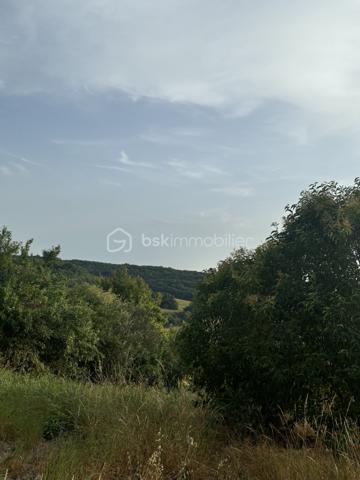 Terrain de 1 013 m²