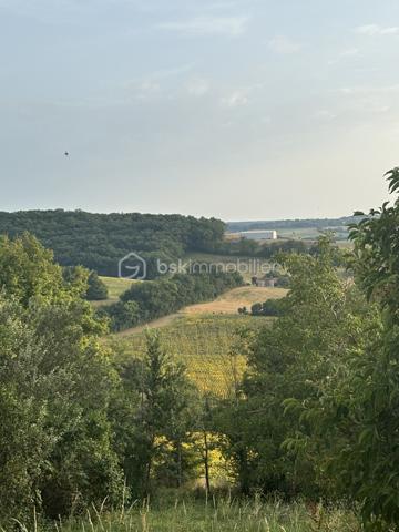 Terrain de 1 013 m²