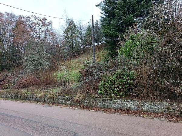 Vente Maison 11 pièces 210 m2 à Le Saulcy