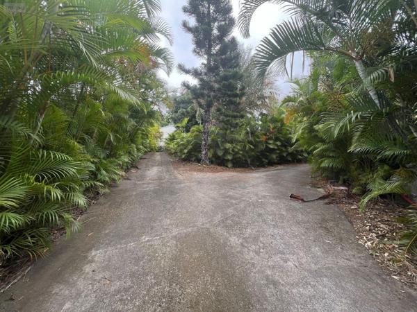 Terrain à Batir à vendre à Saint-Paul à la Réunion (97460), ref : 97405/103   
La plaine saint-paul