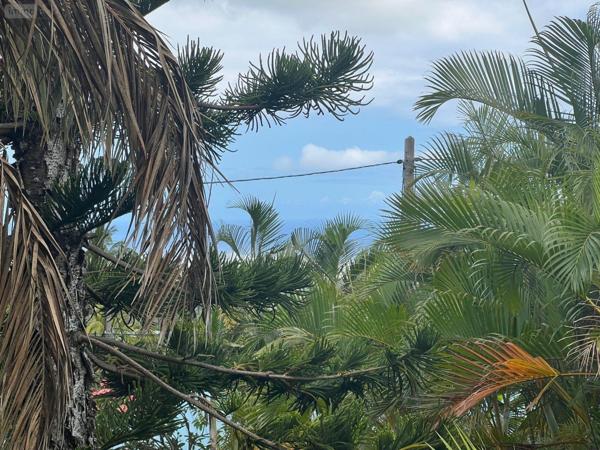 Terrain à Batir à vendre à Saint-Paul à la Réunion (97460), ref : 97405/103   
La plaine saint-paul