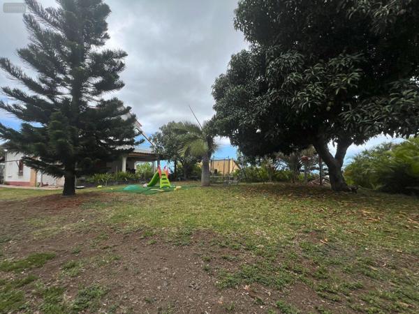 Terrain à Batir à vendre à Saint-Paul à la Réunion (97460), ref : 97405/103   
La plaine saint-paul