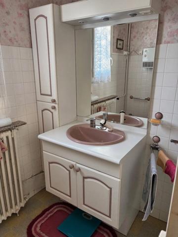 Maison à village, 3 chambres et garage jardin 484 M2