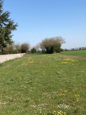 Terrain constructible Aslonnes (86340)