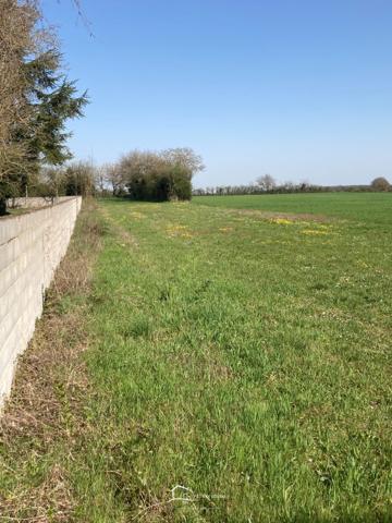 Terrain constructible Aslonnes (86340)