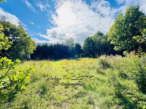 Terrain à vendre SAINT JULIEN EN CHAMPSAUR (05) !