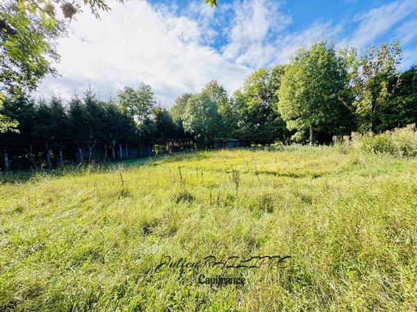 Terrain à vendre SAINT JULIEN EN CHAMPSAUR (05) !