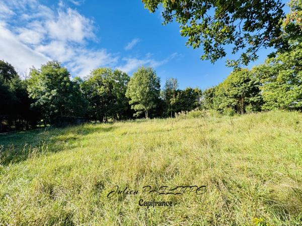Terrain à vendre SAINT JULIEN EN CHAMPSAUR (05) !
