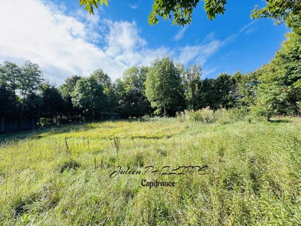 Terrain à vendre SAINT JULIEN EN CHAMPSAUR (05) !