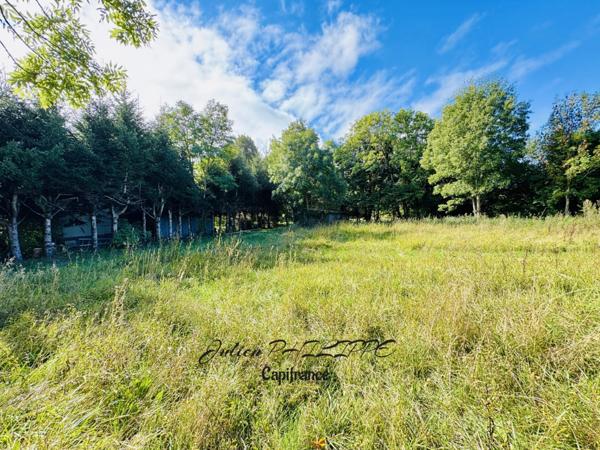 Terrain à vendre SAINT JULIEN EN CHAMPSAUR (05) !
