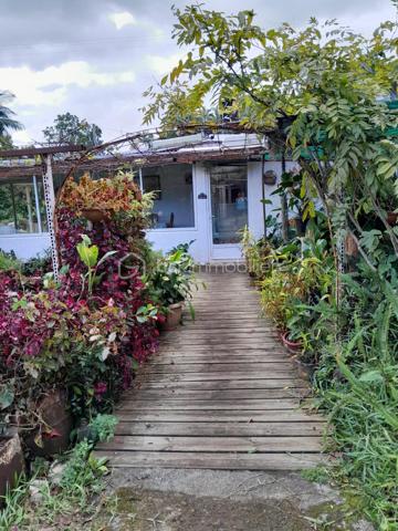 À environ 650 mètres d’altitude, dans un environnement calme à Mont vert les hauts, sur les hauteurs de Saint-Pierre, découvrez cette maison d’environ 125 m² habitables, située en fond d’impasse dans un petit secteur composé d’environ six habitations.
Édifiée sur une parcelle bornée d’environ 275 m², cette maison offre de beaux volumes et un cadre de vie paisible.
Elle se compose de :
Un salon / salle à manger avec cheminée
Une cuisine à aménager
Deux chambres
Une salle de bain
Un WC indépendant
Une grande véranda
Une pièce attenante d’environ 25 m² offrant de nombreuses possibilités d’aménagement
La maison dispose également d’une installation photovoltaïque permettant une valorisation de la production électrique (environ 1 500 € par an selon les conditions de production actuelles).
À l’extérieur : un petit jardin et un potentiel d’aménagement pour créer un espace de stationnement.
À savoir avant toute visite : Ce bien présente une situation particulière : il est implanté sur une parcelle comprenant une partie en zone agricole et une partie en zone naturelle. La construction a été réalisée sans permis de construire et ne permet pas un financement par emprunt bancaire classique. La vente s’adresse donc principalement à des acquéreurs disposant d’un financement personnel. Un plan de bornage est disponible.