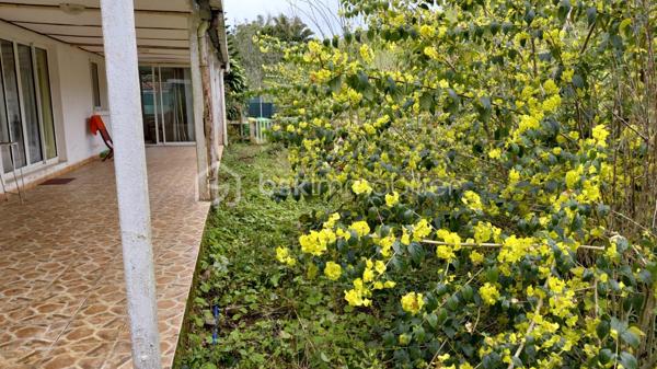 À environ 650 mètres d’altitude, dans un environnement calme à Mont vert les hauts, sur les hauteurs de Saint-Pierre, découvrez cette maison d’environ 125 m² habitables, située en fond d’impasse dans un petit secteur composé d’environ six habitations.
Édifiée sur une parcelle bornée d’environ 275 m², cette maison offre de beaux volumes et un cadre de vie paisible.
Elle se compose de :
Un salon / salle à manger avec cheminée
Une cuisine à aménager
Deux chambres
Une salle de bain
Un WC indépendant
Une grande véranda
Une pièce attenante d’environ 25 m² offrant de nombreuses possibilités d’aménagement
La maison dispose également d’une installation photovoltaïque permettant une valorisation de la production électrique (environ 1 500 € par an selon les conditions de production actuelles).
À l’extérieur : un petit jardin et un potentiel d’aménagement pour créer un espace de stationnement.
À savoir avant toute visite : Ce bien présente une situation particulière : il est implanté sur une parcelle comprenant une partie en zone agricole et une partie en zone naturelle. La construction a été réalisée sans permis de construire et ne permet pas un financement par emprunt bancaire classique. La vente s’adresse donc principalement à des acquéreurs disposant d’un financement personnel. Un plan de bornage est disponible.