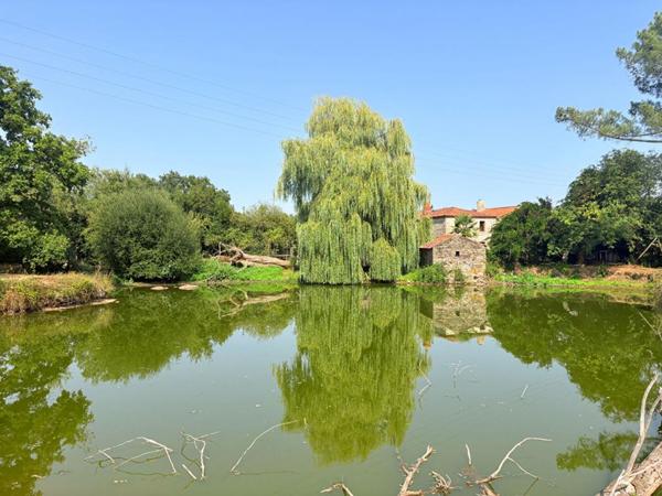 Maison 145 m² - Étang privé - Grand jardin -