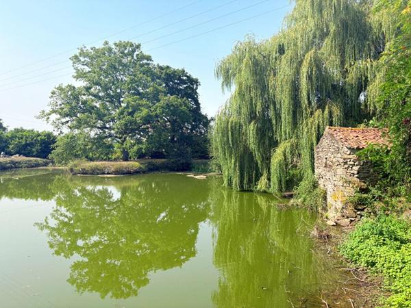 Maison 145 m² - Étang privé - Grand jardin -