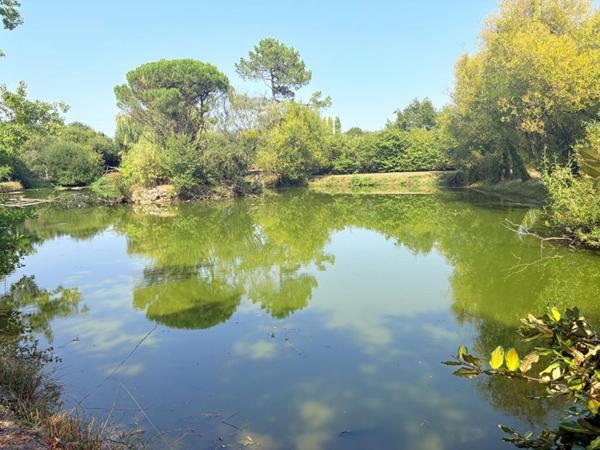 Maison 145 m² - Étang privé - Grand jardin -