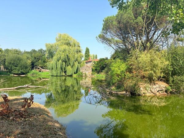 Maison 145 m² - Étang privé - Grand jardin -