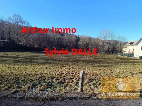 Vente                                                      Terrain
                        
                                         4690 m2                     à Fau-de-Peyre