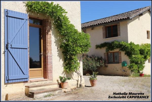 Salvagnac 81, magnifique propriété T9-T10 462 m² ( 3 Gîtes loués), terrain de 1.6 hectares