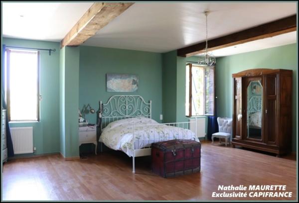 Salvagnac 81, magnifique propriété T9-T10 462 m² ( 3 Gîtes loués), terrain de 1.6 hectares