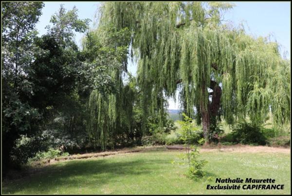 Salvagnac 81, magnifique propriété T9-T10 462 m² ( 3 Gîtes loués), terrain de 1.6 hectares