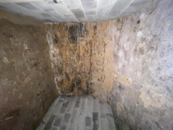 À découvrir : appartement lumineux de 50 m² avec cave et espace extérieur