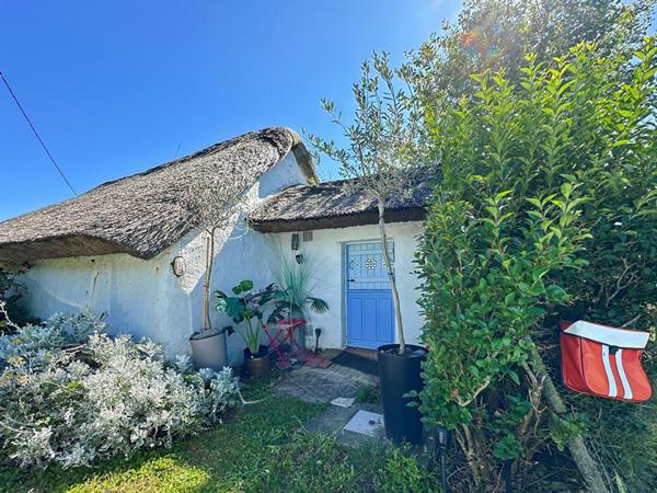 Bourrine Typique rénovée