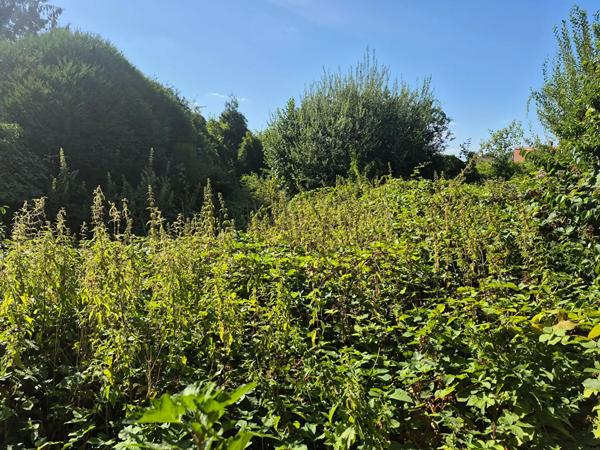 Maison à vendre 5 pièces 126m² Lillers (62190)