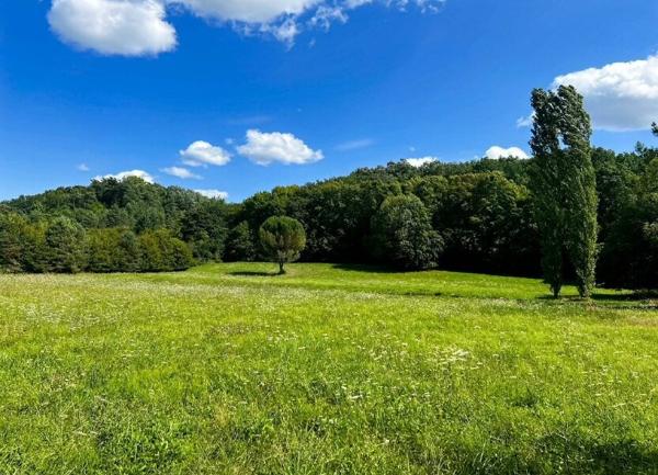 Maison à vendre    7 pièces •  Vergt