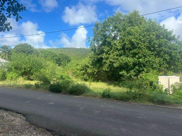 Terrain à vendre |  Capesterre-de-Marie-Galante |  38108 m²