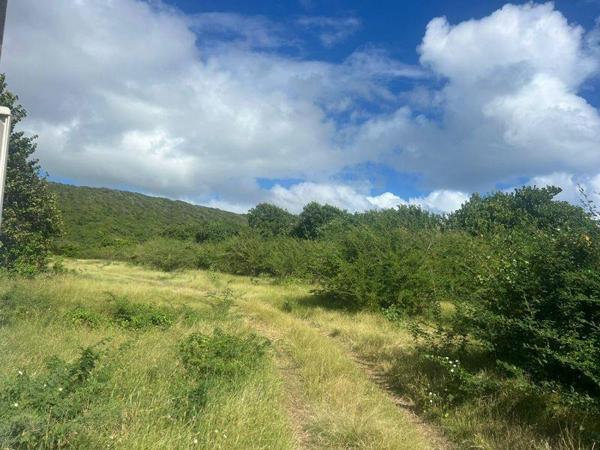 Terrain à vendre |  Capesterre-de-Marie-Galante |  38108 m²