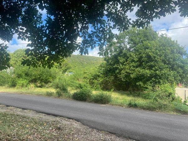 Terrain à vendre |  Capesterre-de-Marie-Galante |  38108 m²