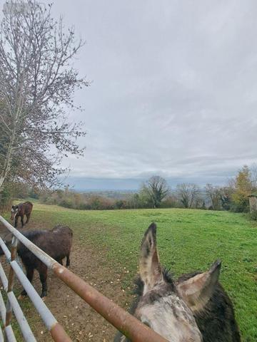 Corps de ferme à vendre à Moyrazès dans l'Aveyron (12160), ref : 1010719