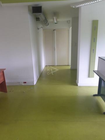 Locaux denviron 230m²