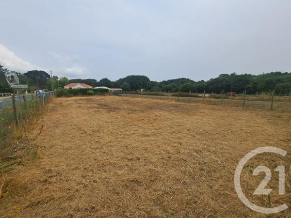 Maison à vendre  3 pièces - 74,28 m 2   DOLUS D OLERON  - 17