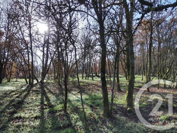 Terrain à vendre  4375 m2 MONTVALENT - 46