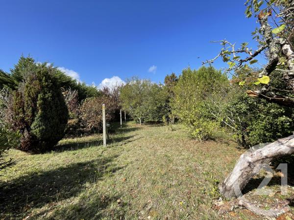 Terrain à vendre  564 m2 ST HILAIRE DE RIEZ - 85