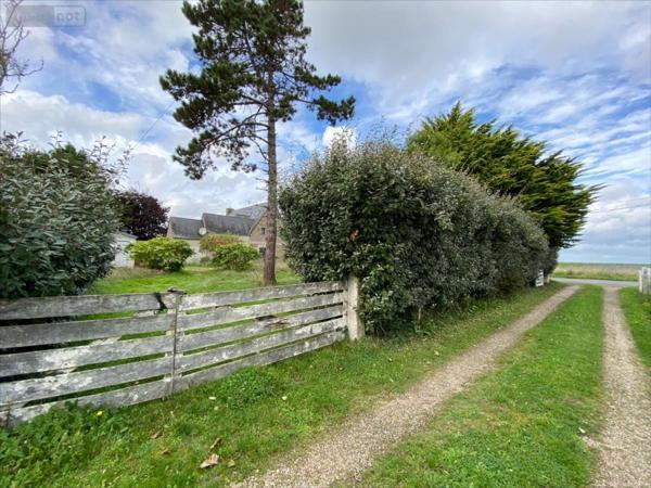 Terrain à Batir à vendre à Réville dans la Manche (50760), ref : 50088-1065193